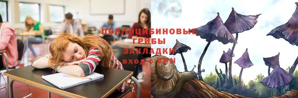 гашик Балахна