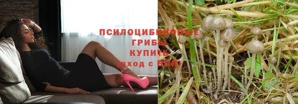 гашик Балахна